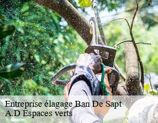 Entreprise élagage  ban-de-sapt-88210 A.D Espaces verts