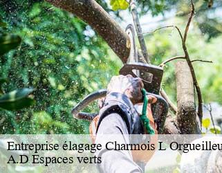 Entreprise élagage  charmois-l-orgueilleux-88270 A.D Espaces verts