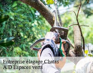 Entreprise élagage  chatas-88210 A.D Espaces verts