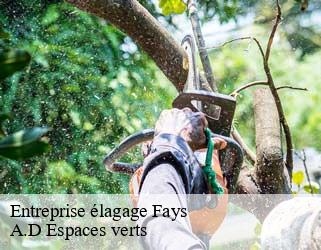Entreprise élagage  fays-88600 A.D Espaces verts