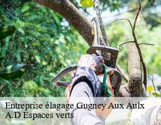 Entreprise élagage  gugney-aux-aulx-88450 A.D Espaces verts