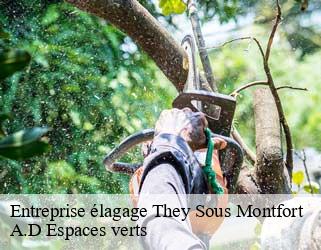 Entreprise élagage  they-sous-montfort-88800 A.D Espaces verts