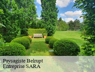 Paysagiste  belrupt-88260 Entreprise SARA