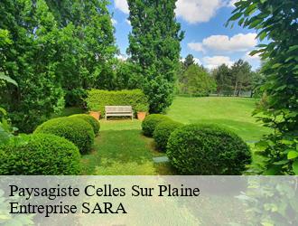 Paysagiste  celles-sur-plaine-88110 Entreprise SARA