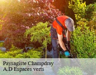 Paysagiste  champdray-88640 A.D Espaces verts