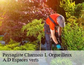 Paysagiste  charmois-l-orgueilleux-88270 A.D Espaces verts