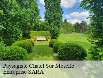 Paysagiste  chatel-sur-moselle-88330 Entreprise SARA