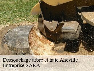 Dessouchage arbre et haie  aheville-88500 Entreprise SARA