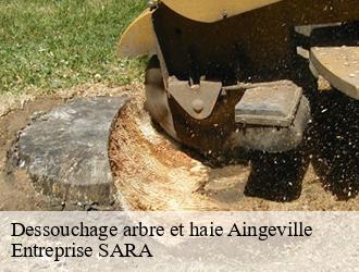 Dessouchage arbre et haie  aingeville-88140 Entreprise SARA