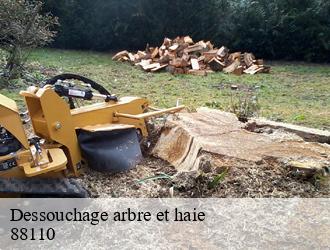 Dessouchage arbre et haie  88110