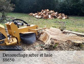 Dessouchage arbre et haie  88650