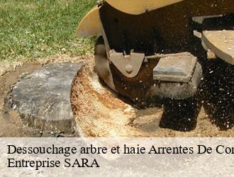 Dessouchage arbre et haie  arrentes-de-corcieux-88430 Entreprise SARA