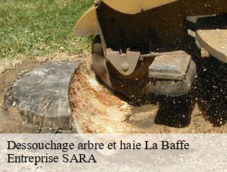 Dessouchage arbre et haie  la-baffe-88460 Entreprise SARA