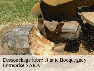 Dessouchage arbre et haie  bocquegney-88270 Entreprise SARA