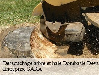 Dessouchage arbre et haie  dombasle-devant-darney-88260 Entreprise SARA