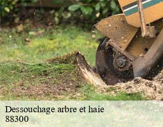 Dessouchage arbre et haie  88300