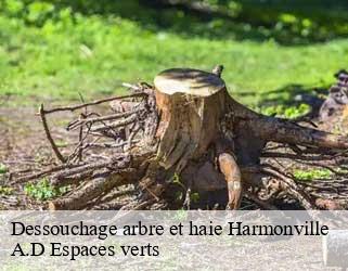 Dessouchage arbre et haie  harmonville-88300 A.D Espaces verts