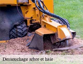 Dessouchage arbre et haie