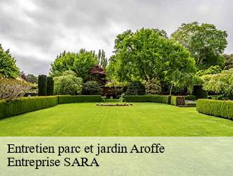 Entretien parc et jardin  aroffe-88170 Entreprise SARA