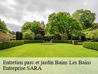 Entretien parc et jardin  bains-les-bains-88240 Entreprise SARA