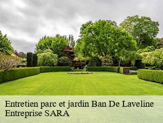 Entretien parc et jardin  ban-de-laveline-88520 Entreprise SARA