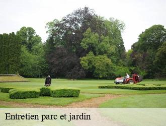 Entretien parc et jardin