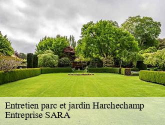 Entretien parc et jardin  harchechamp-88300 Entreprise SARA