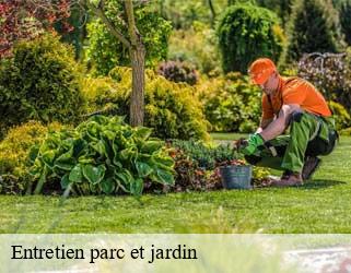 Entretien parc et jardin