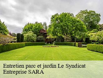 Entretien parc et jardin  le-syndicat-88120 Entreprise SARA