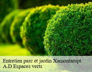 Entretien parc et jardin  xamontarupt-88460 A.D Espaces verts