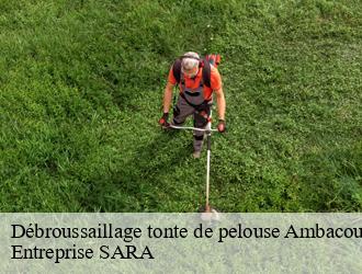 Débroussaillage tonte de pelouse  ambacourt-88500 Entreprise SARA