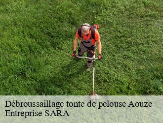 Débroussaillage tonte de pelouse  aouze-88170 Entreprise SARA