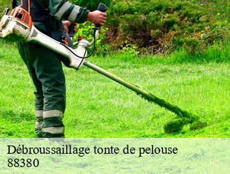 Débroussaillage tonte de pelouse  88380