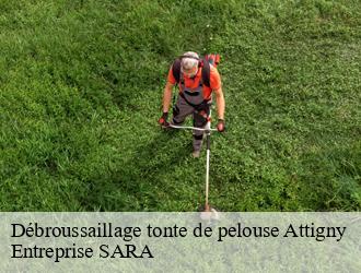 Débroussaillage tonte de pelouse  attigny-88260 Entreprise SARA