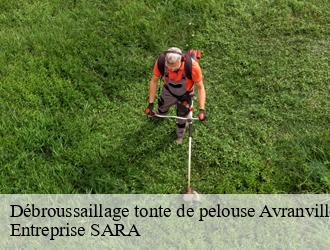 Débroussaillage tonte de pelouse  avranville-88630 Entreprise SARA