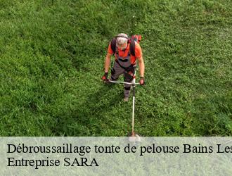 Débroussaillage tonte de pelouse  bains-les-bains-88240 Entreprise SARA