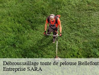 Débroussaillage tonte de pelouse  bellefontaine-88370 Entreprise SARA