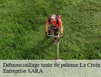 Débroussaillage tonte de pelouse  la-croix-aux-mines-88520 Entreprise SARA