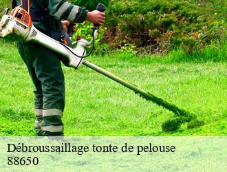 Débroussaillage tonte de pelouse  88650