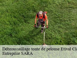 Débroussaillage tonte de pelouse  etival-clairefontaine-88480 Entreprise SARA