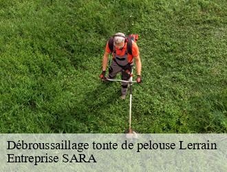 Débroussaillage tonte de pelouse  lerrain-88260 Entreprise SARA