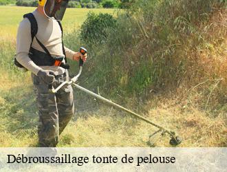 Débroussaillage tonte de pelouse