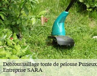 Débroussaillage tonte de pelouse  puzieux-88500 A.D Espaces verts