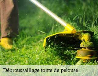 Débroussaillage tonte de pelouse