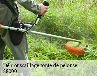 Débroussaillage tonte de pelouse  88000