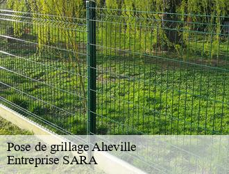 Pose de grillage  aheville-88500 Entreprise SARA