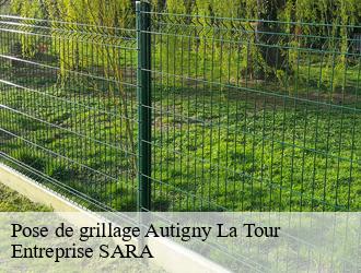 Pose de grillage  autigny-la-tour-88300 Entreprise SARA