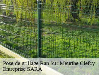 Pose de grillage  ban-sur-meurthe-clefcy-88230 Entreprise SARA