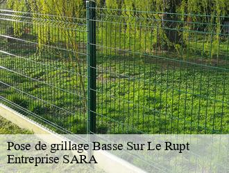 Pose de grillage  basse-sur-le-rupt-88120 Entreprise SARA