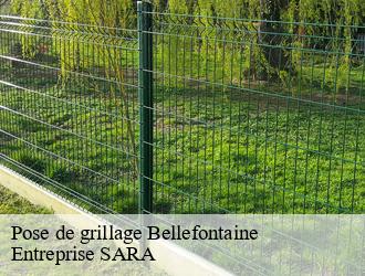 Pose de grillage  bellefontaine-88370 Entreprise SARA